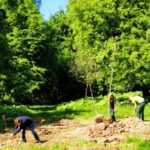 Прихожане помогли посадить деревья рядом с храмом