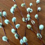 ВХОД ГОСПОДЕНЬ В ИЕРУСАЛИМ